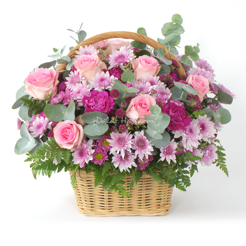 Hoa Lẵng và Bình