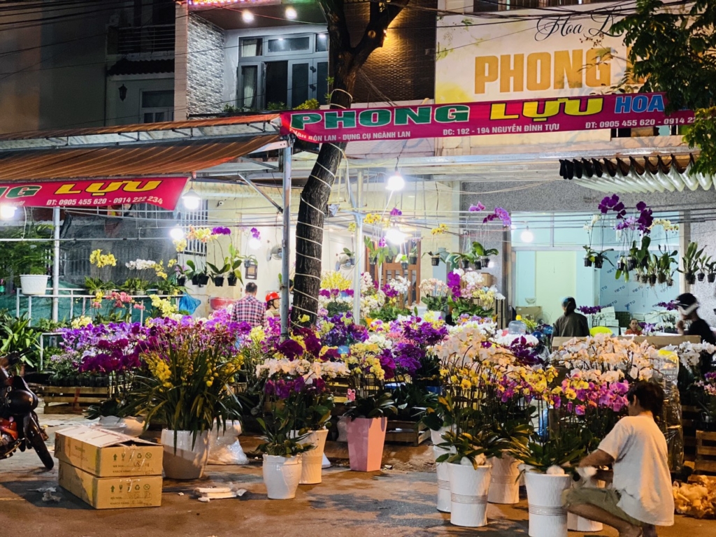 Shop Hoa Lan Phong Lựu - Hoa Lan Đà Nẵng