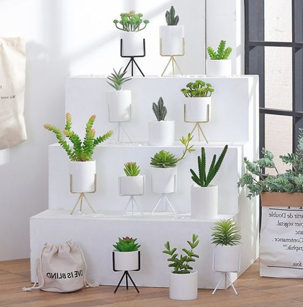 Chậu sứ trồng cây Đà Nẵng - hình ảnh tham khảo