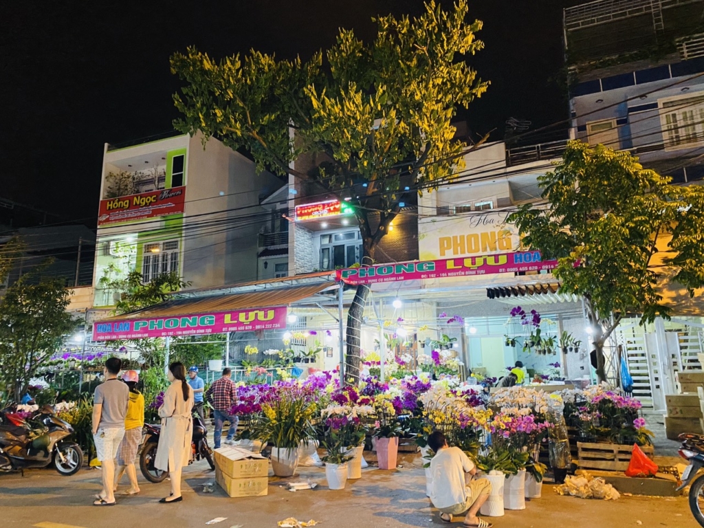 Cây cảnh Đà Nẵng giá sỉ - chợ hoa lớn nhất